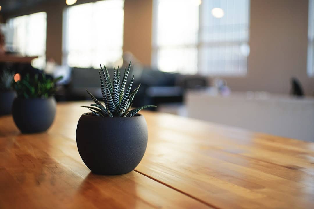 Photo Legal office