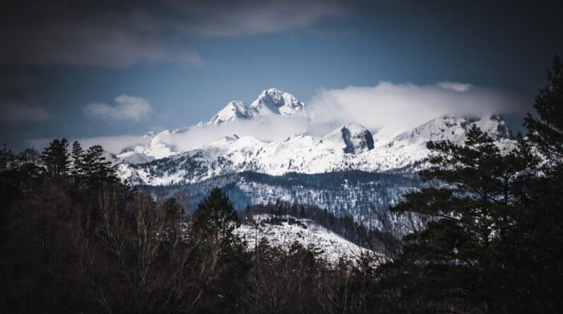 Photo Courtroom scene