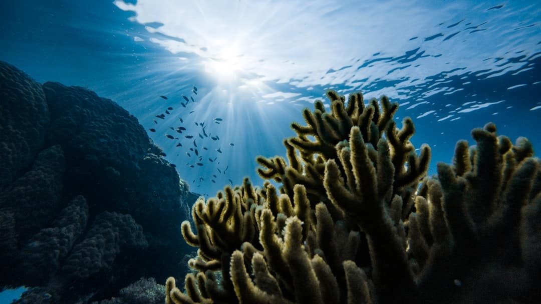 Photo Underwater lawsuit