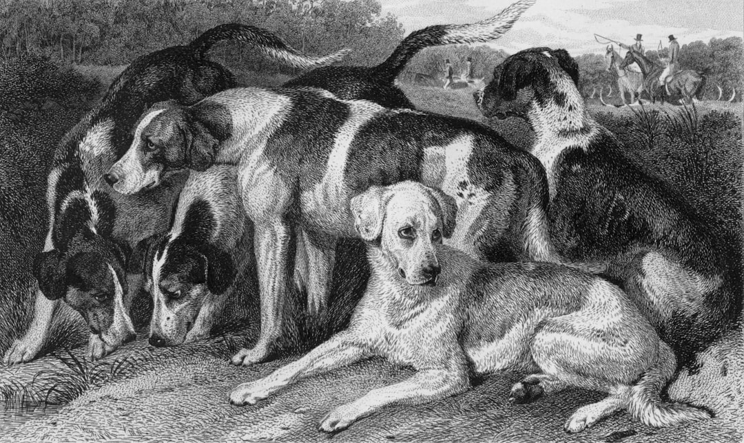 Photo Courtroom illustration