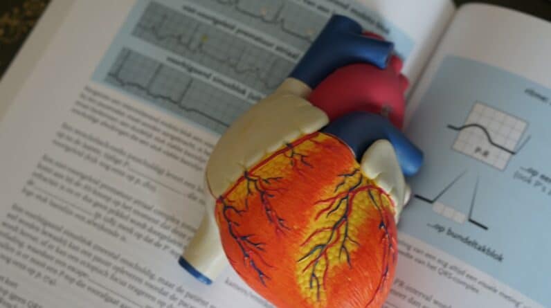 Photo Medical records
