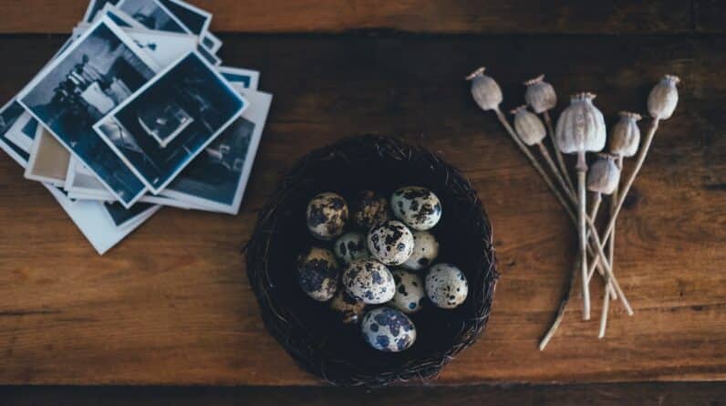 Photo Evidence photos