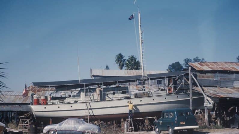 Photo Cruise ship injury