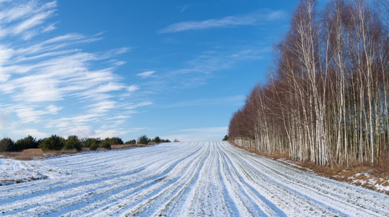 Photo Courtroom scene