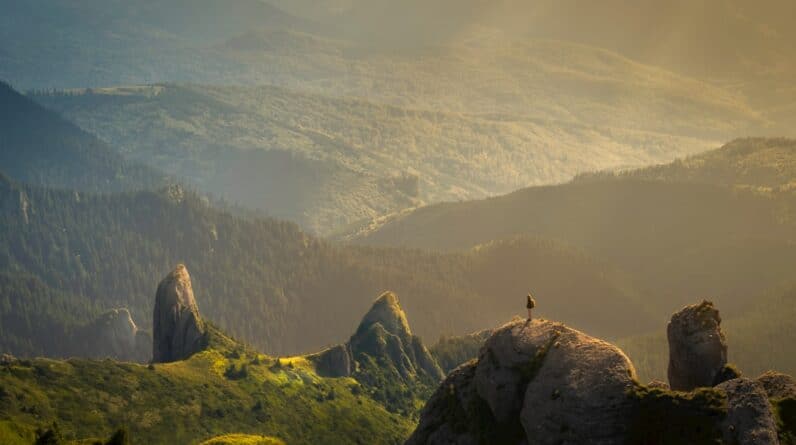 Photo Personal Injury Lawyer Chandler Az