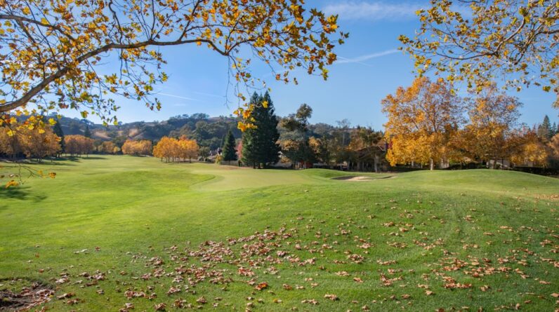 Photo Personal Injury Lawyer Chandler Az