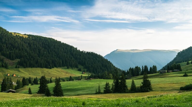 Photo Personal Injury Law Firm